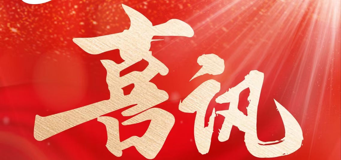 喜讯丨w88win优德健康再度上榜2024年重庆民企科技创新指数100强